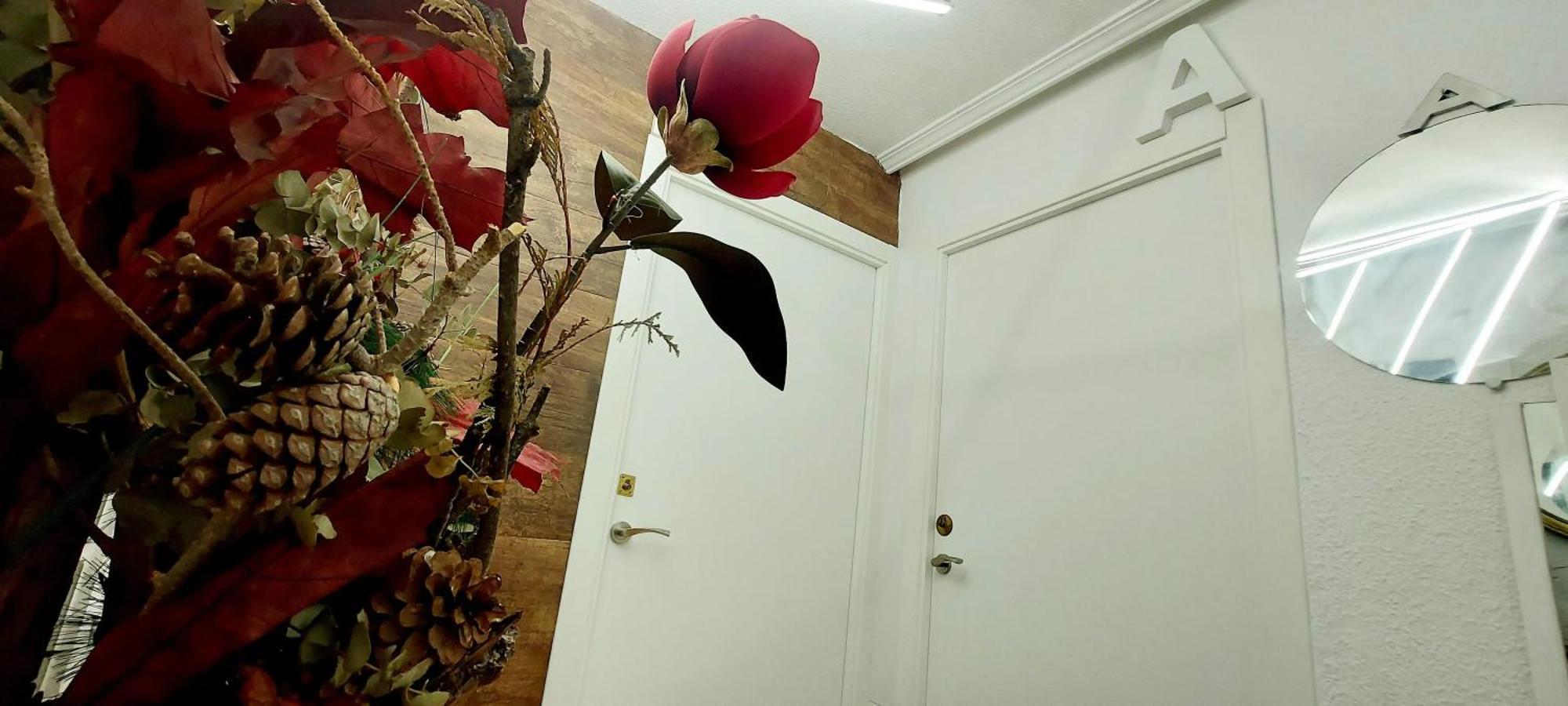 Modern Apartment In Alacant 60M² Wheelchair Accessible อาลิกันเต ภายนอก รูปภาพ